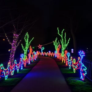 BOWLING GREEN'S FESTIVE LIGHT-UP RIDE BRIGHTENS THE HOLIDAYS